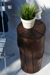 Tree Trunk Side Table Rustic Wood Log Stool, Patio Decor