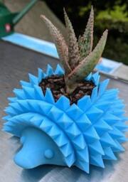 Hedgehog Succulent Planter - Hedgehog Gifts Accessories Animal Cute Cactus Pot - thumbnail 3