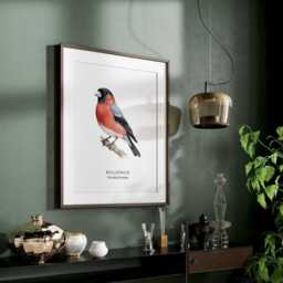 British Garden Birds, Bullfinch Print, Bird Lover Gift, Watching, Illustration, Wall Decor - thumbnail 3