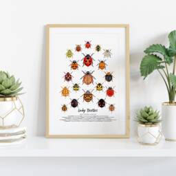 Lady Beetles Art Print - Ladybugs, Ladybirds Living Room, Nursery Wall D??cor Prints Poster Gift For Girl Nature Watercolour Painting - thumbnail 2