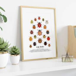 Lady Beetles Art Print - Ladybugs, Ladybirds Living Room, Nursery Wall D??cor Prints Poster Gift For Girl Nature Watercolour Painting - thumbnail 3