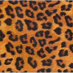 Leopard Brown Soap Dispenser Porcelain 200Ml 7Oz Animal Print Liquid Pump Hand Decorated UK - thumbnail 4