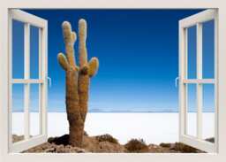 Cactus Wall Decal, Sticker, Nature Desert Mural, 3D Window Decal Frame View Home Decor