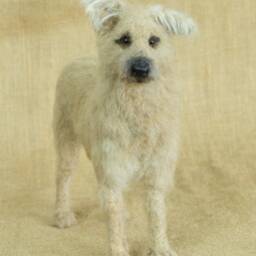 Made To Order Needle Felted Dog Custom Needle Felted Animal Sculpture - thumbnail 3
