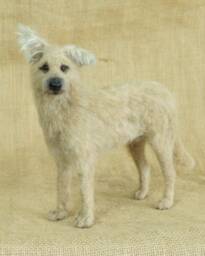 Made To Order Needle Felted Dog Custom Needle Felted Animal Sculpture