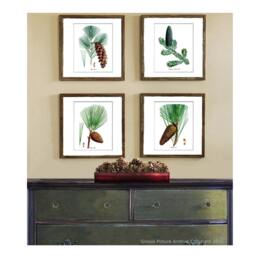 Forest Art Print Conifers Prints Set Of 12, Botanical Pine Cones, Woodland Wall Decor, Trees Evergreen Wall Decor - thumbnail 3