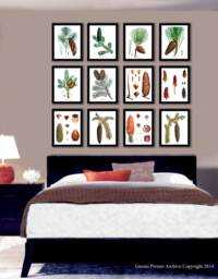 Forest Art Print Conifers Prints Set Of 12, Botanical Pine Cones, Woodland Wall Decor, Trees Evergreen Wall Decor - thumbnail 1