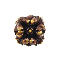 Small Rosettes in Bronze