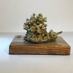 "Brass Abstract Sculpture, ""Growth" - thumbnail 4