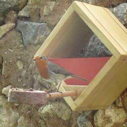 Modern Bird Feeder . Birdhouse in Wood. Hanging Bird Handcrafted. Garden - thumbnail 3