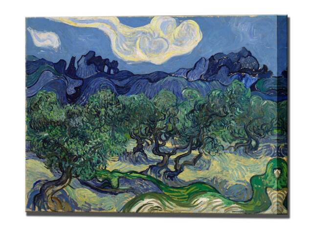 Van Gogh, Olive Trees, Canvas Print Wall Decor Interior Design Home Ready To Hang - image 1