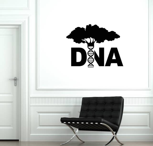 Dna Vinyl Wall Decal Tree Science School Classroom Decor Interior Stickers Mural - #2925Di - image 1