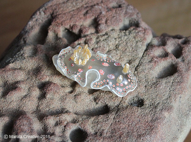 Mida The Nudibranch - Felimida Marislae - image 1