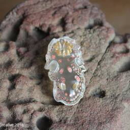 Mida The Nudibranch - Felimida Marislae - thumbnail 2