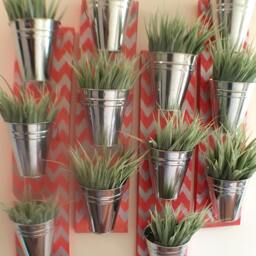 Indoor Wall Planter - Coral - One Row Of 3 Pots - thumbnail 2
