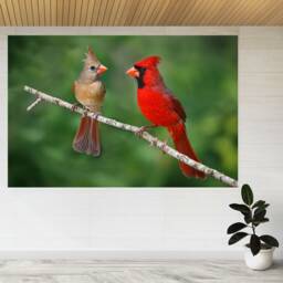 Birds Cardinals Parrots Branch 3D View Wall Sticker Poster Decal A862