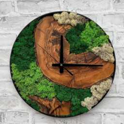 Plant Moss & Olive Wood Clock, Rustic Tree Slice Wall Clock With Live & Metal Frame, Stabilized Decor, Nature Inspired - thumbnail 2