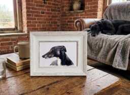 Whippet Print 17x12cm - White Rustic Frame - Sighthound Wall Art, Gift For Owners - thumbnail 1