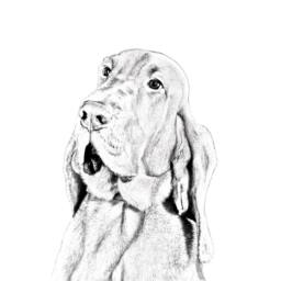 Bloodhound - Wooden Stand For Candles/Pens With The Image Of A Dog New Collection - thumbnail 2