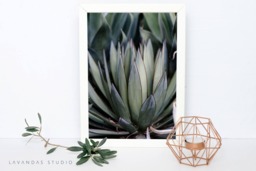 Printable Wall Art, Greenery, Photography, Instant Download, Decor, Boho, Photo, Print - thumbnail 1