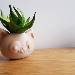 Cat Planter For Succulents & Indoor Plants - thumbnail 2