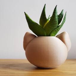 Cat Planter For Succulents & Indoor Plants - thumbnail 3
