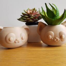Cat Planter For Succulents & Indoor Plants - thumbnail 4