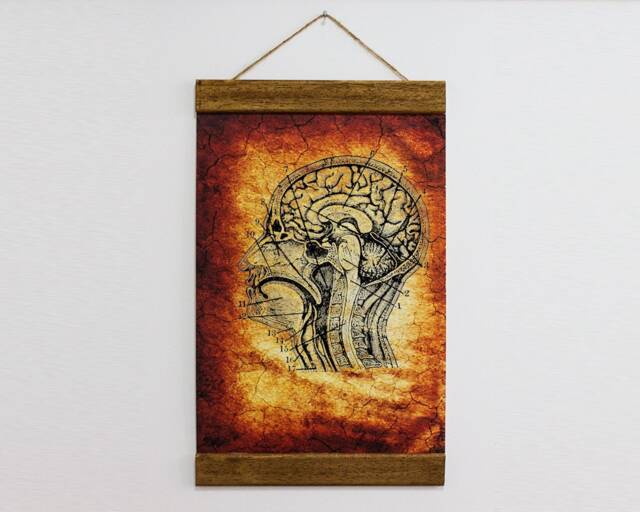 Vintage Illustration Human Brain Anatomy Wood Framed Canvas Print, Suits Neurology Doctors Clinic, Doctor Gift Idea - image 1