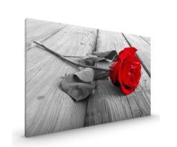 Red Rose On Black & White Canvas Framed Glossy Coated Premium With Metal Hanger Various Sizes - thumbnail 1