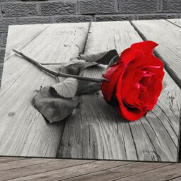 Red Rose On Black & White Canvas Framed Glossy Coated Premium With Metal Hanger Various Sizes - thumbnail 2