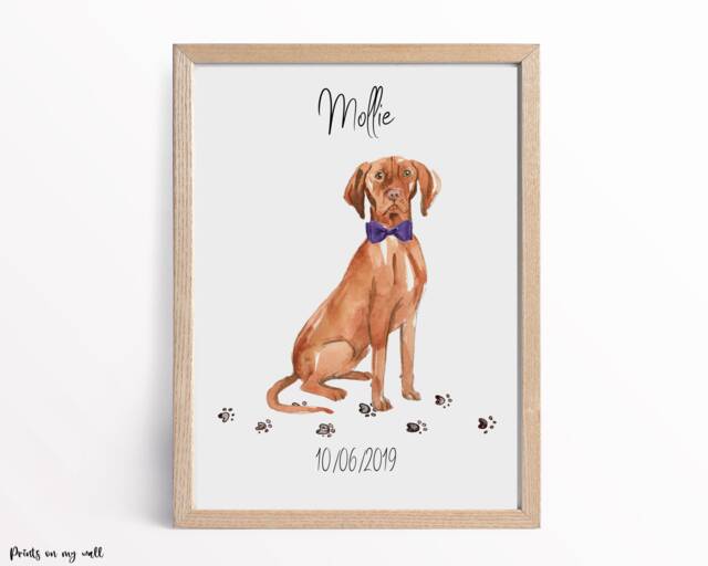 Personalized Hungarian Vizsla Print, Dog Wall Art - image 1