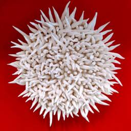"White Clay Wall Sculpture On Canvas Abstract Coastal Art - 7""x7" - thumbnail 1