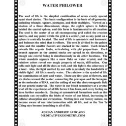 Laminated Print Water Philower - thumbnail 2