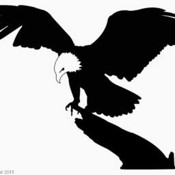 Bald Eagle Wall Decal American Bird Of Prey, Nursery Decor - thumbnail 2
