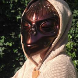 Chameleon Alien Mask Hand-Painted Space Helmet, Festival Costume - thumbnail 3