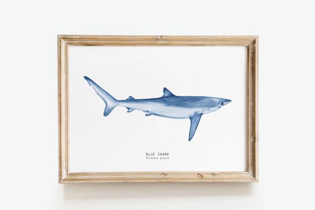 Blue Shark Art Print - Watercolor Shark Living Room Wall D??cor Bathroom Sharks Of The World Prionace Glauca Gift - image 1