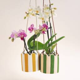 Small Stripy Hanging Pot - Choose Your Colours - thumbnail 2
