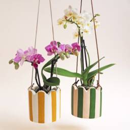 Small Stripy Hanging Pot - Choose Your Colours - thumbnail 1