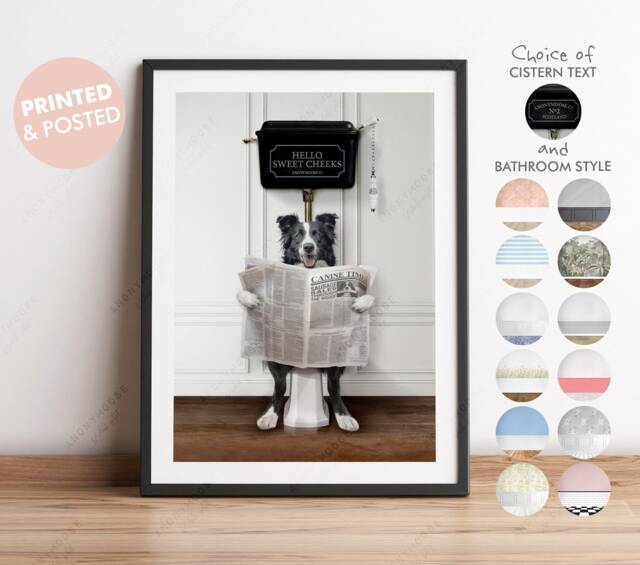 Border Collie Dog On Toilet With Newspaper, Victorian Print, Funny Bathroom Toilet, Humour Print - image 1