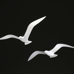 Seagull Mobile Outdoor Version By John Perry Duo 16In Wingspan Soaring Style - thumbnail 3