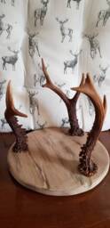 Wooden Candle Holder Plant /Vase Stand . Solid Oak With Antlers Rustic Bespoke Handmade .vases/Plants Etc Not Included - thumbnail 3