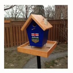 Alberta Bird Feeder
