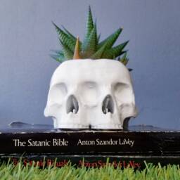 Conjoined Skull Succulent Planter Gothic Home Garden Decor 3D Printed - thumbnail 1