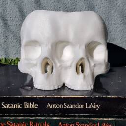 Conjoined Skull Succulent Planter Gothic Home Garden Decor 3D Printed - thumbnail 3
