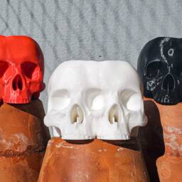 Conjoined Skull Succulent Planter Gothic Home Garden Decor 3D Printed - thumbnail 2