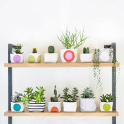 Fabric Planter, Turquoise Dot, Medium 4 - thumbnail 3