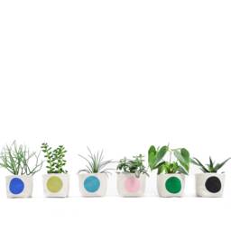Fabric Planter, Turquoise Dot, Medium 4 - thumbnail 2
