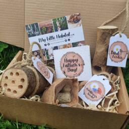 Father's Day Birds & Bees Gift Set With Plantable Card - Eco Friendly Bee Hotel Gardener Wild Flower Seeds Bird Feeder Dad - thumbnail 3