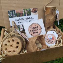 Father's Day Birds & Bees Gift Set With Plantable Card - Eco Friendly Bee Hotel Gardener Wild Flower Seeds Bird Feeder Dad - thumbnail 2