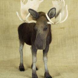 Made To Order Needle Felted Moose Custom Needle Felted Animal Sculpture - thumbnail 3